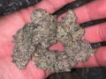1 OZ ICE CREAM CAKE (Hybrid)